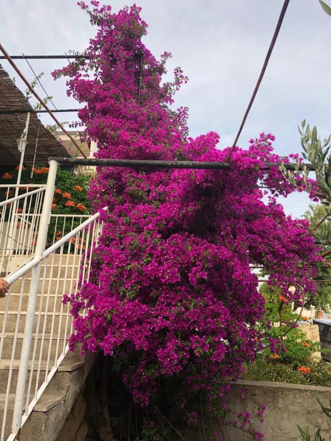 Cozy New Flat For 2 Or 3 Apartment Hvar Town Exterior photo