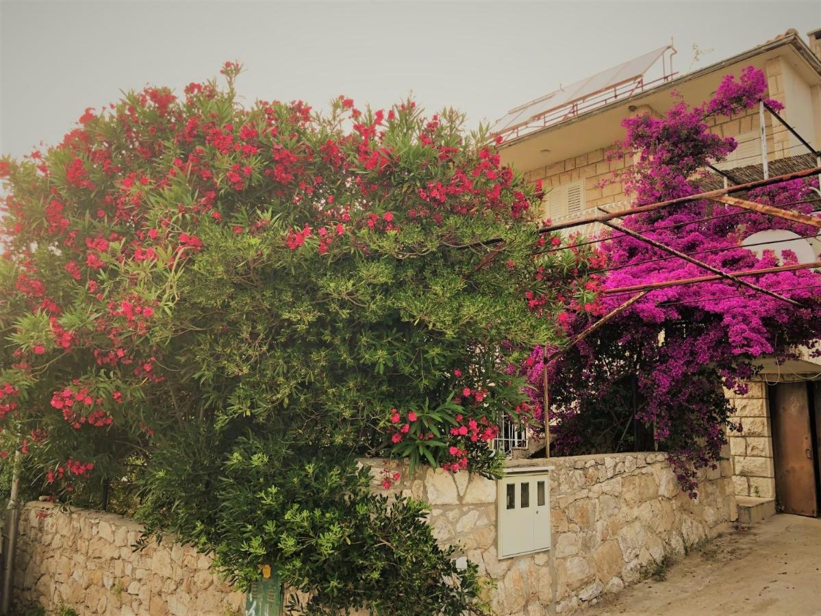 Cozy New Flat For 2 Or 3 Apartment Hvar Town Exterior photo